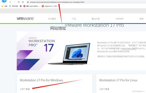 VM虚拟机中配置JDK环境实现应用软件开发全攻略