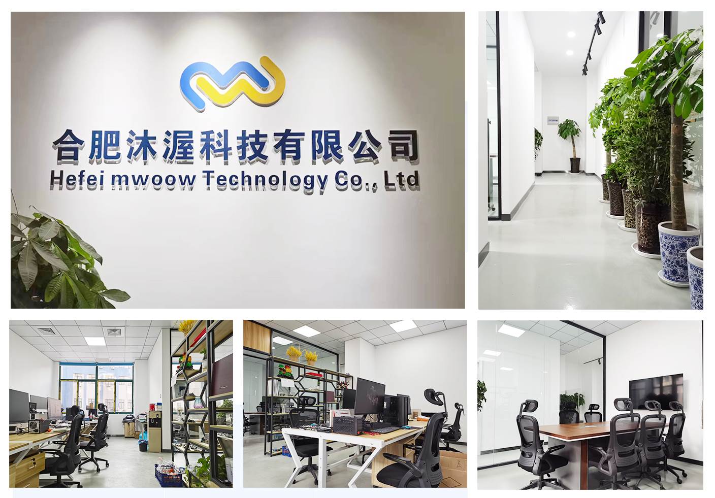 数字化转型的引擎 应用软件开发公司介绍